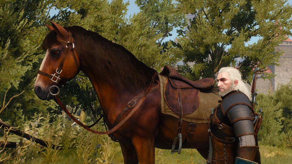 Nein, das ist noch nicht das Bild aus der Netfilx-Serie. Dieser Screenshot zeigt die braune Stute Plötze im Spiel The Witcher 3.