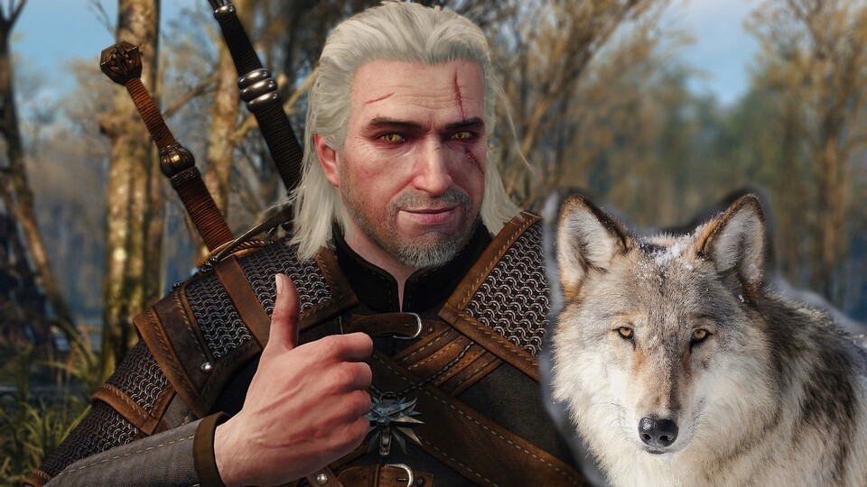 Geralt und Wölfe können sich in The Witcher 3 via Mod verbünden und gemeinsam kämpfen.