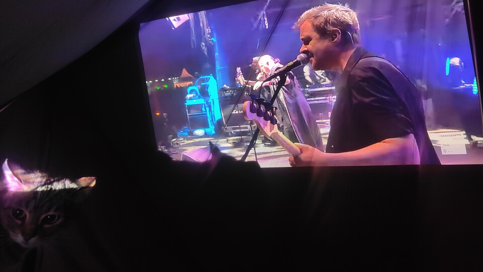 Just watch a concert video outdoors on the tent wall? Even the cat joins in!