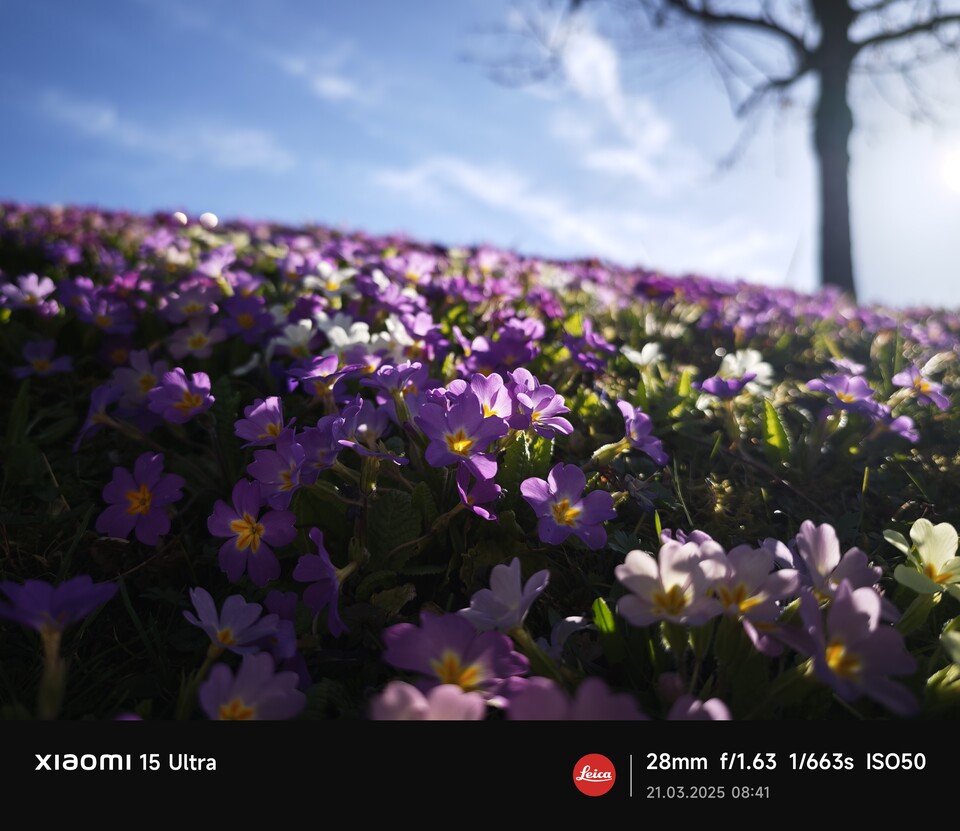 Bei der Hauptkamera gibt es zwar einen Unterschied, aber dieser ist winzig. Beide gehören zu den besten, was es auf dem Smartphone-Markt gibt. (Bildquelle: Duy Linh DinhGameStar Tech)