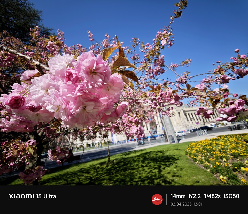 (Bildquelle: Duy Linh DinhGameStar Tech)