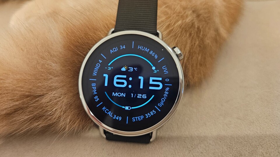 Die Gesundheits- und Sportfunktionen sind wirklich präzise und ist meiner Meinung nach das Beste in dieser Preisklasse!