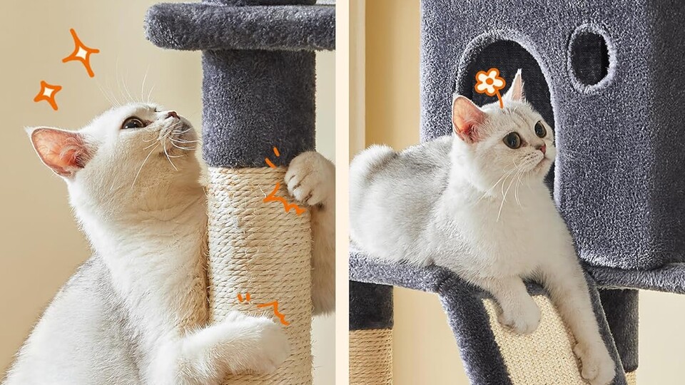 Spiel, Spaß und Entspannung: Der Feandrea XXL-Kratzturm ist der ultimative All-in-one-Spielplatz für Katzenhaushalte.