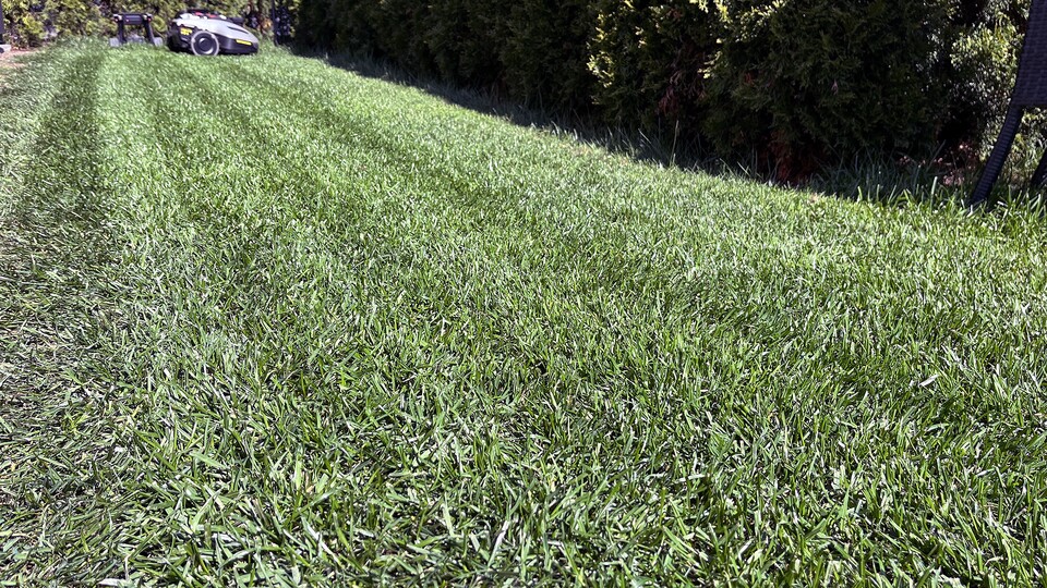 Schöne geordnete Bahnen: Das Mähergebnis des Yuka Mini 2 800.