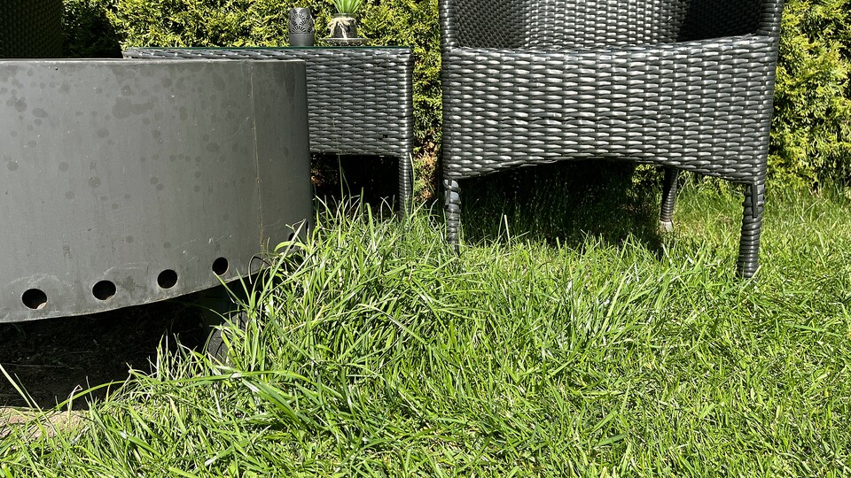 An Hindernissen bleibt ein ca. 10 Zentimeter breiter Rasenstreifen stehen – ein solides Ergebnis.