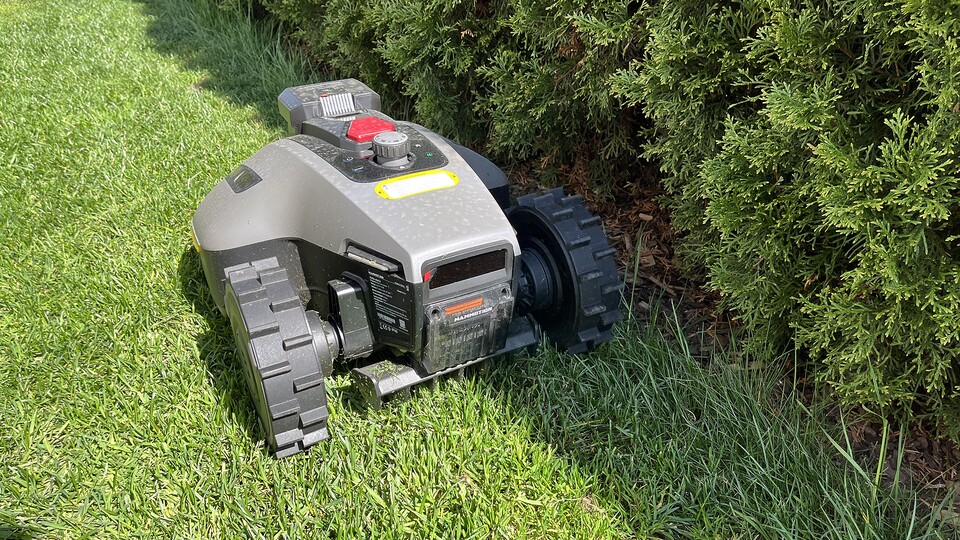 Da er die Koniferen als Hindernis wahrnimmt, lässt der Yuka Mini 2 800 eine Rasenkante stehen.