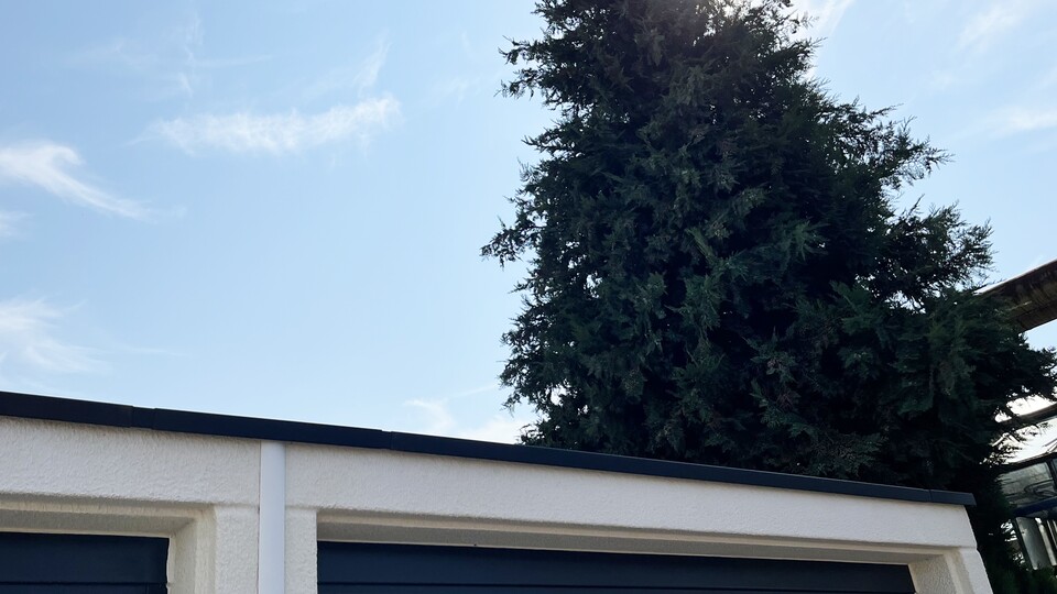 Dieser Baum direkt neben meiner Garage raubt mir täglich viel Sonnenenergie.