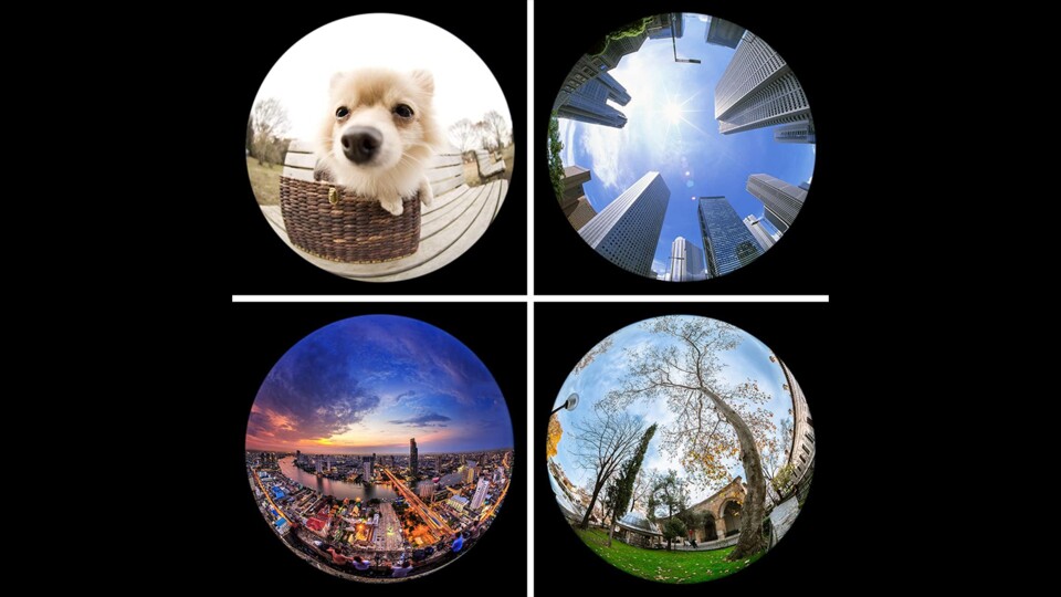 Ein Zirkular-Fisheye mag nicht das nützlichste Gadget sein, aber es ist auf jeden Fall eines: eine Menge Spaß!