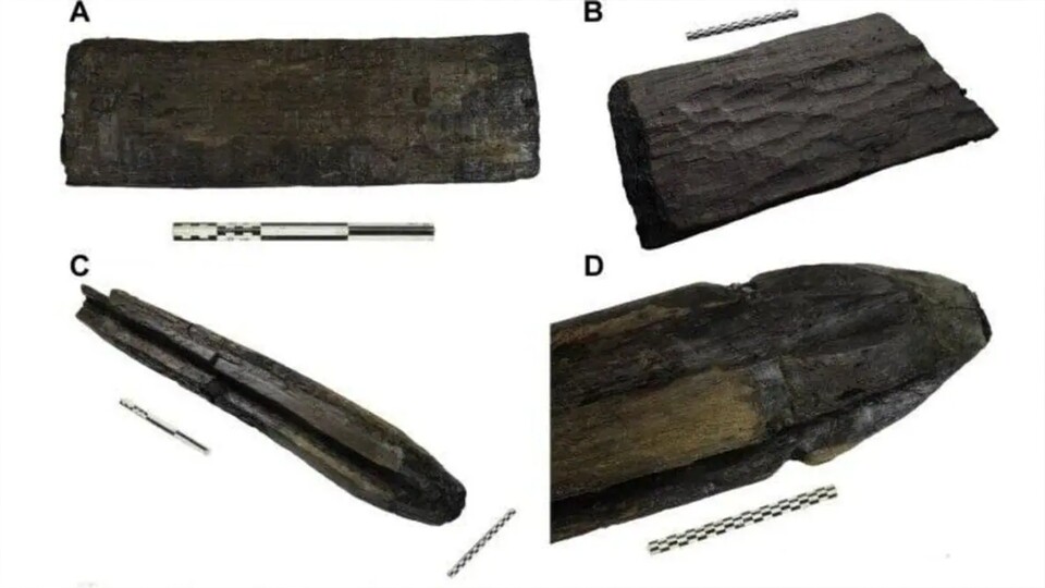Das Holz auf den Bildern ist über 7.000 Jahre alt. (Bild: Archäologisches Zentrum Olomouc)