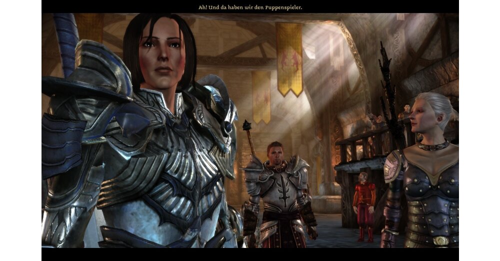 評価: Dragon Age: Origins テスト中