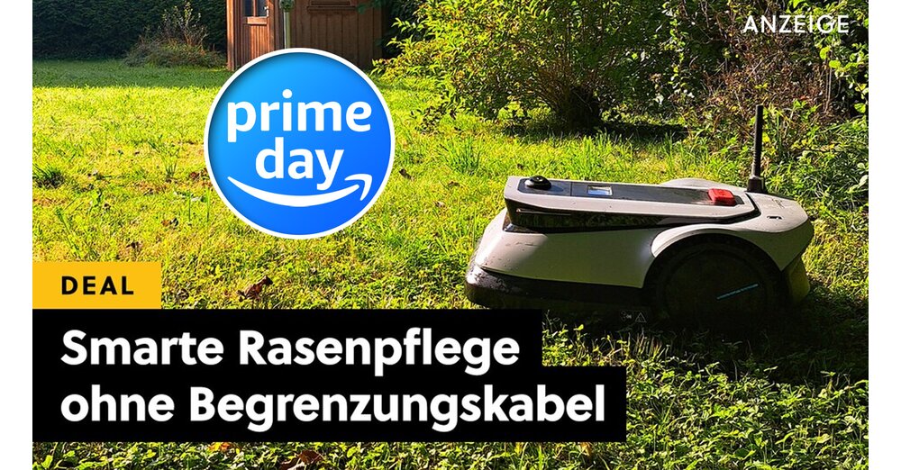 Meine beste Neuanschaffung des Jahres 2024 Einer der besten Mähroboter