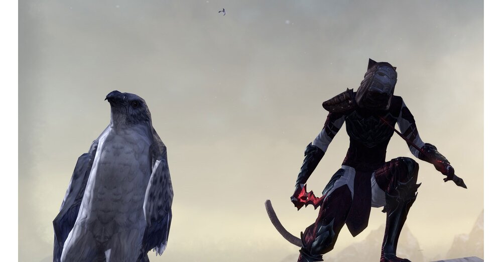 ESO グレイムーア：最高のスキルとチャンピオン ポイント配分を備えたナイトブレード ガイド