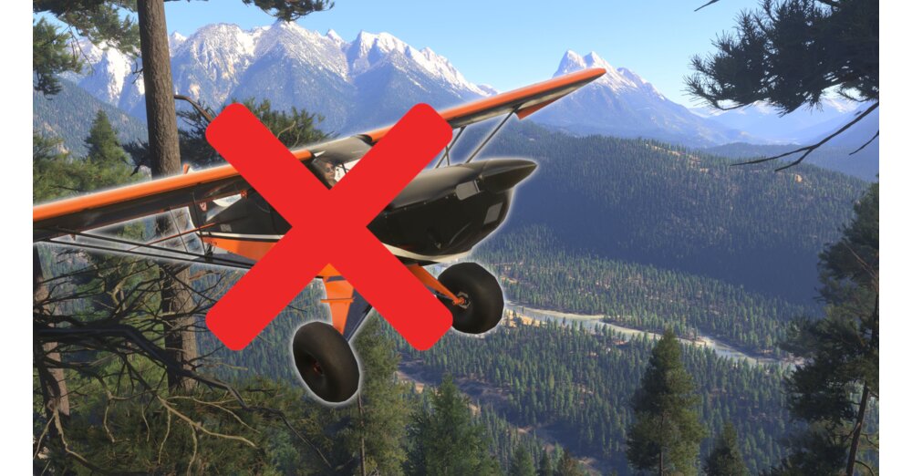»Oh Gott, ich muss es sofort kaufen« - Jemand spielt den Flight Simulator ...