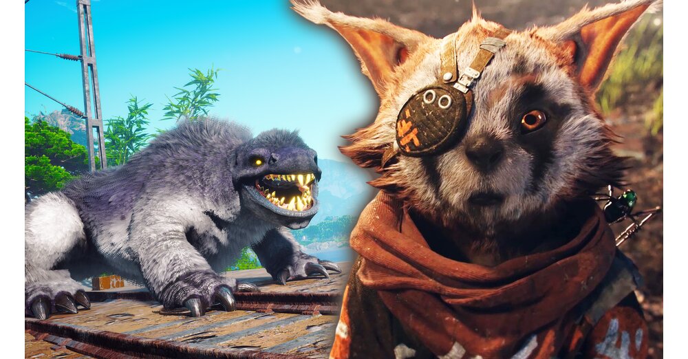生物局所：リリースの3週間前にゲームをプレイする役割のステータスは何ですか？