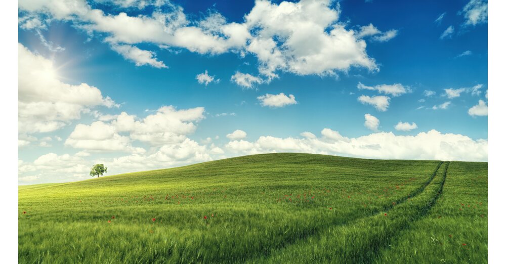 Windows11：MicrosoftはWindows10のリリース問題から明らかに学んだようです