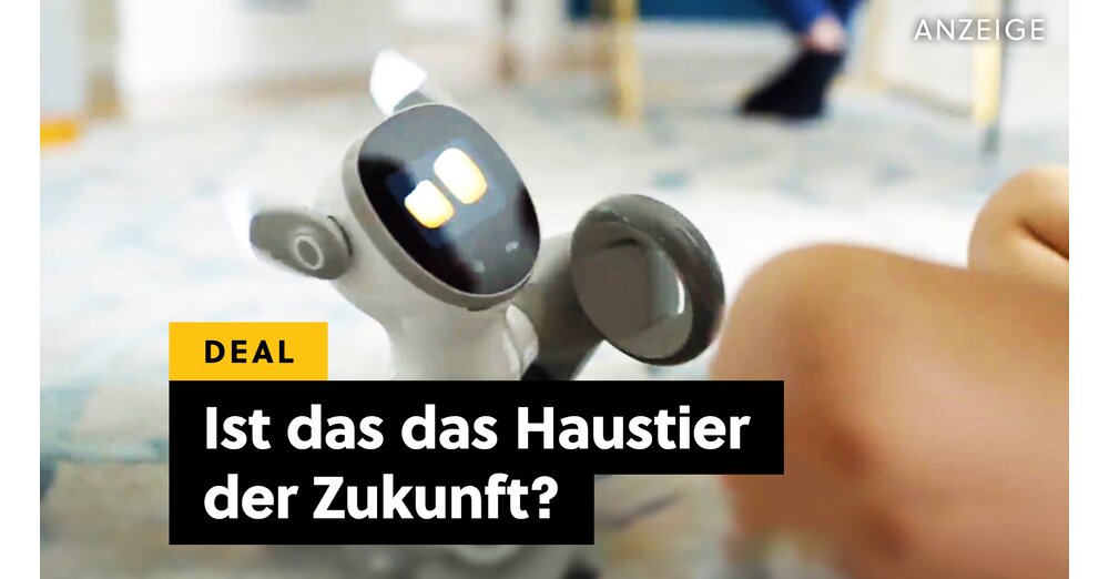 Ersetzt KI unsere Haustiere? Was sich Petbot nennt, könnte die nächste große Revolution im Haushalt sein - diesen »Hund« müsst ihr gesehen haben!