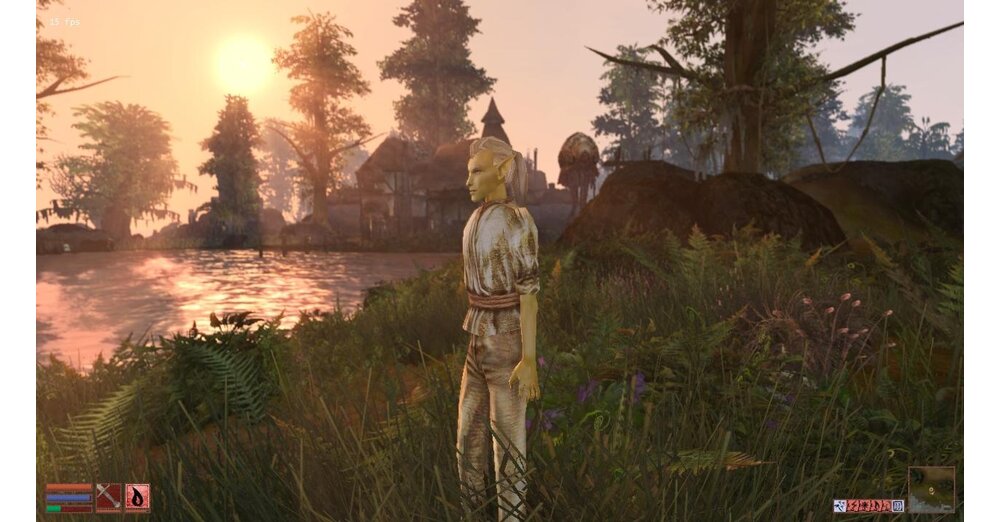 The ElderScrolls:Morrowind 