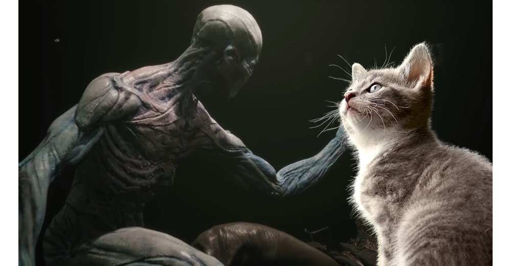 Mortal Shell：350,000人のプレイヤーと猫がベータ版を成功させる