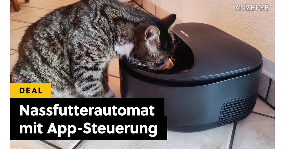 Meine Katze besitzt jetzt einen Khlschrank und ich liebs