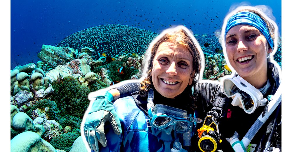 サッカー場ほどの大きさの生き物が海で偶然発見されたが、動かない