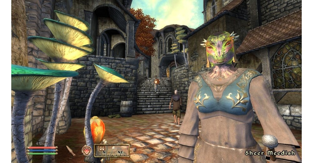 SEITE 4：Elder Scrolls 4：Oblivion：震える島