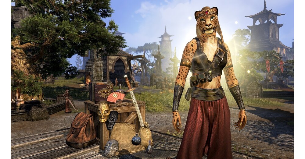 Elder Scrolls Online 