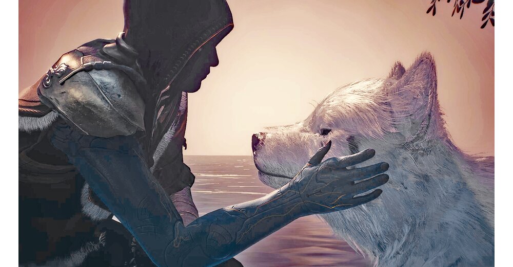 Yes, Soulframe, of course we want to adopt this cute wolf cub in the ...