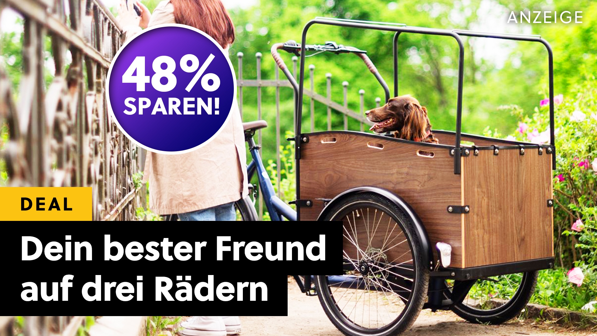 Bis zu 750€ Zuschuss vom Staat und dann noch 48% Rabatt gibt es auf dieses Lastenrad mit 70km Reichweite