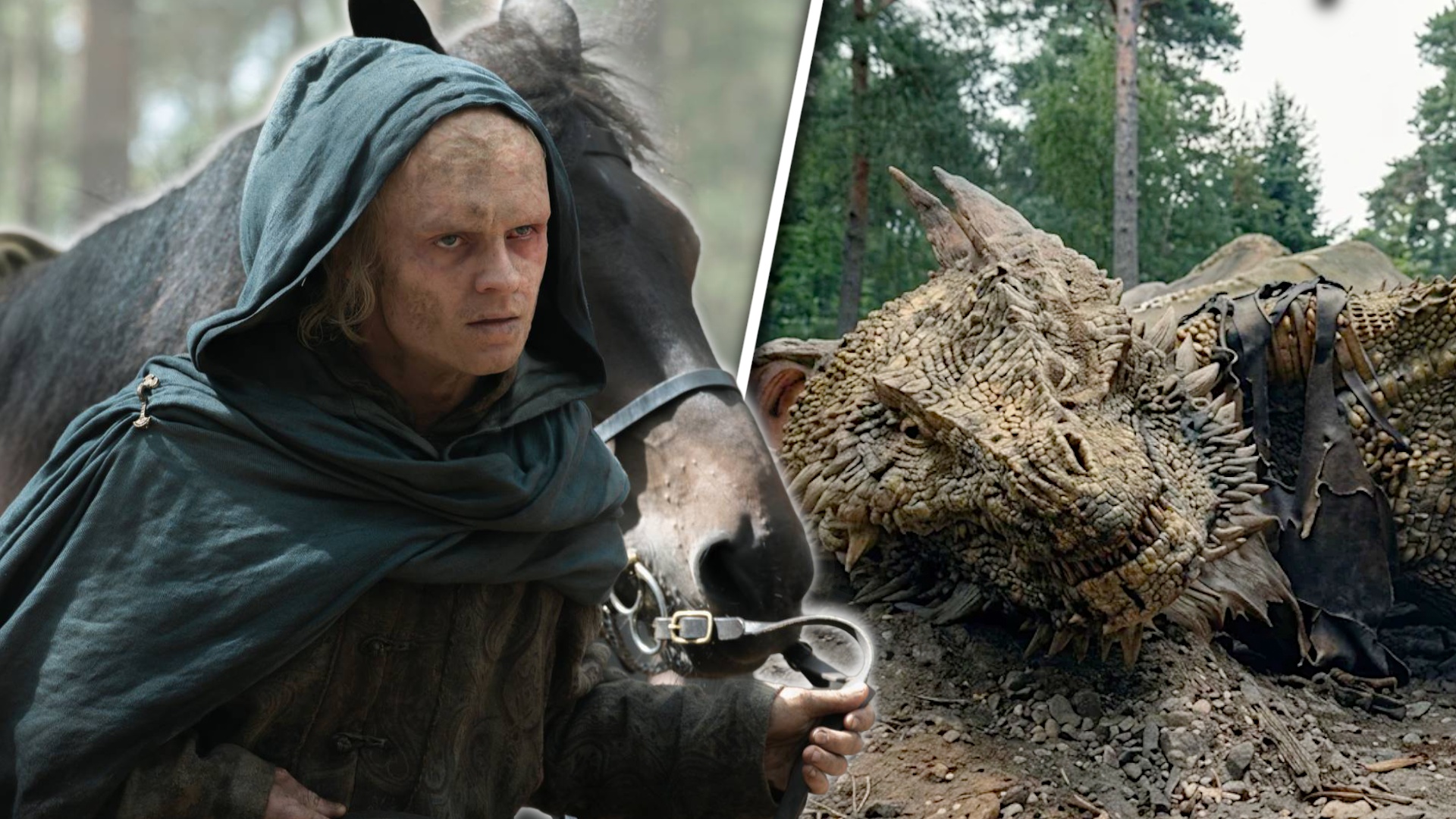 News: House of the Dragon - Ist Sunfyre tot oder am Leben? Das Mysterium hat ausgerechnet Joffrey Baratheon schon vor 13 Jahren gelüftet