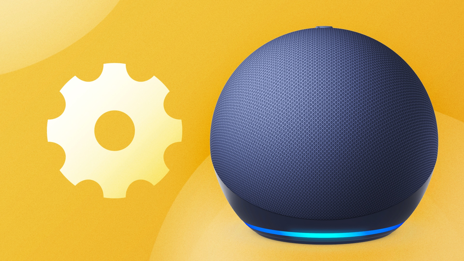 Alexa einrichten: Erste Schritte mit Amazon Echo Dot Co.