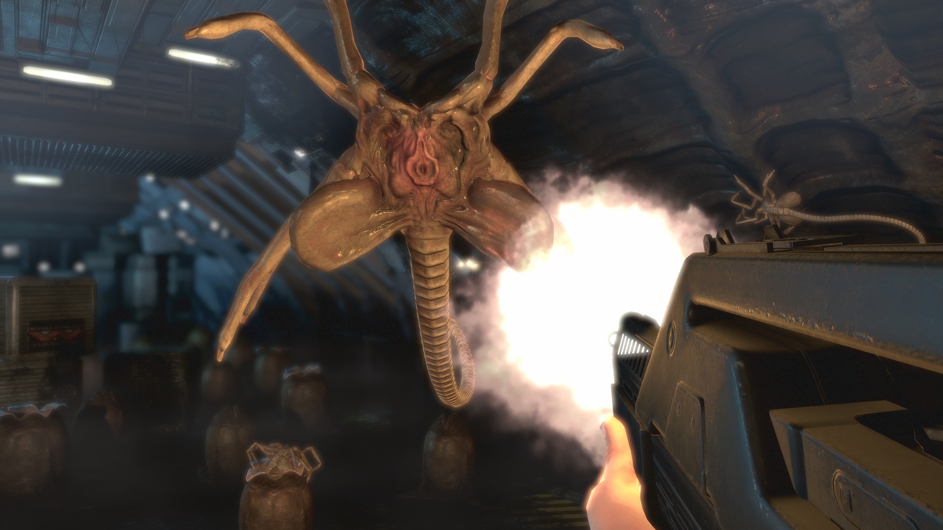 Aliens Colonial Marines Shooter doch nicht gestoppt?
