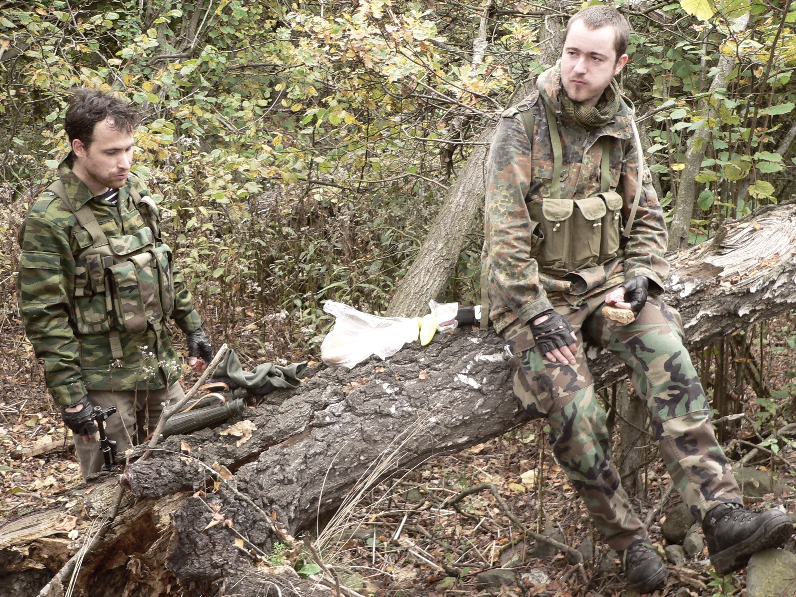 ArmA 2Interview Die Entwickler verraten Neues zur MilitärSimulation