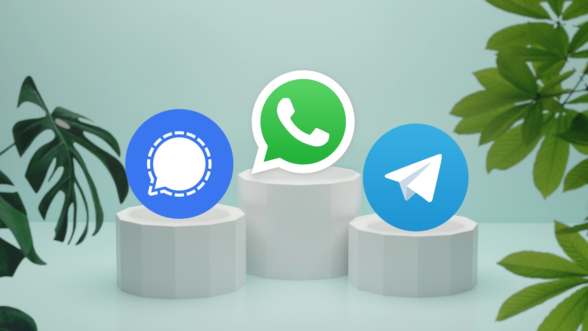 Special: Apps - Gegen den Deutschland-Trend: Der zweitbeliebteste Messenger fällt bei euch komplett durch