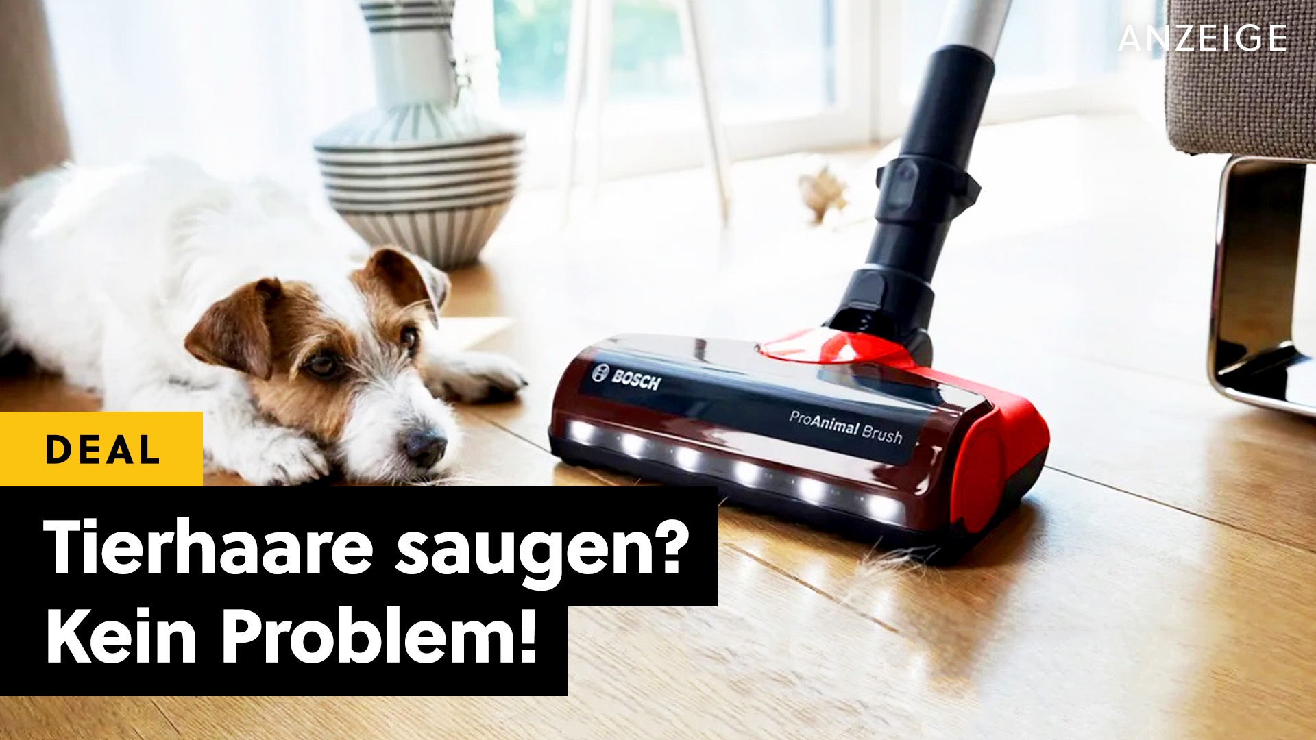 Deals: Akkusauger - Tierhaare adé! Die Dyson-Alternative für jede Gelegenheit! [Anzeige]