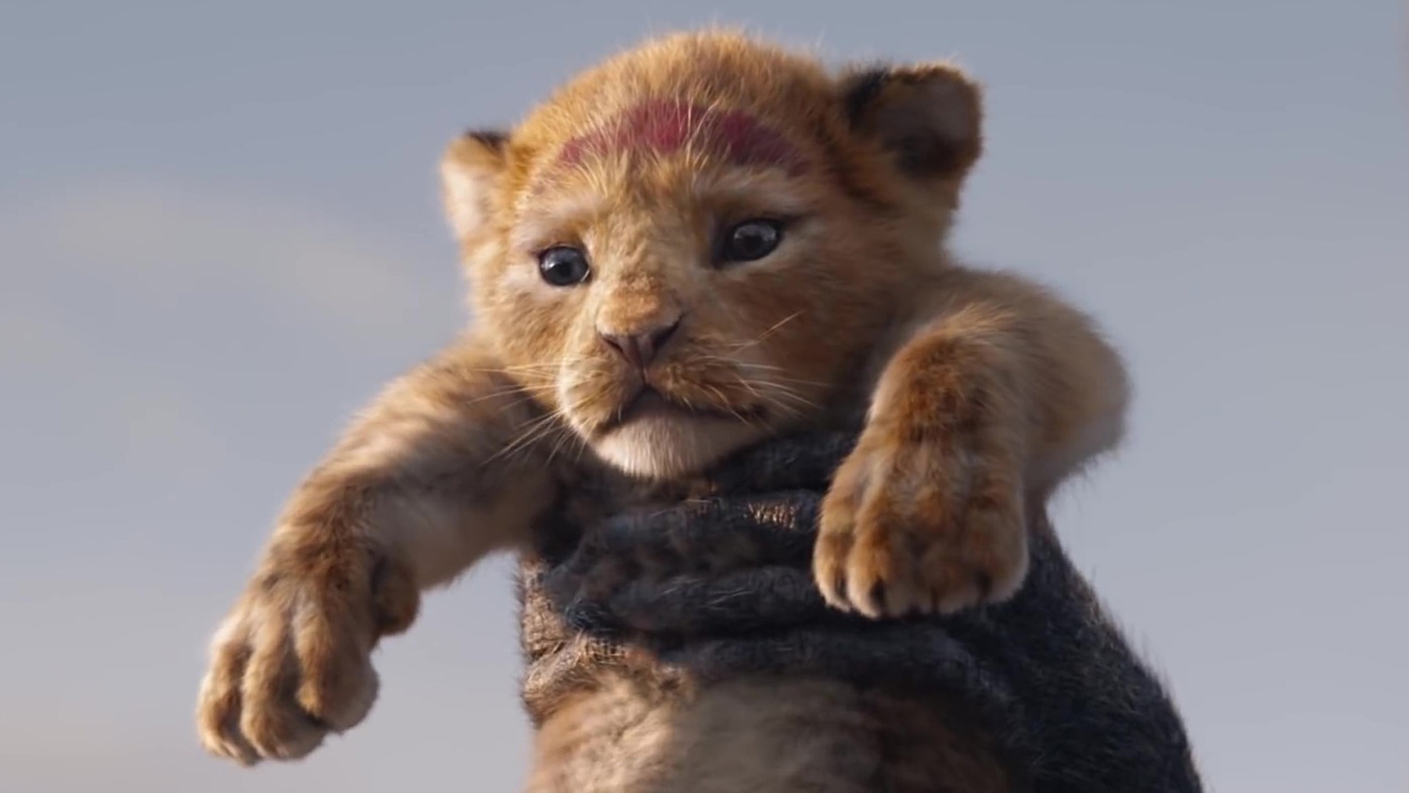Der König der Löwen Simba ist im ersten TeaserTrailer zu Disneys Realverfilmung zurück