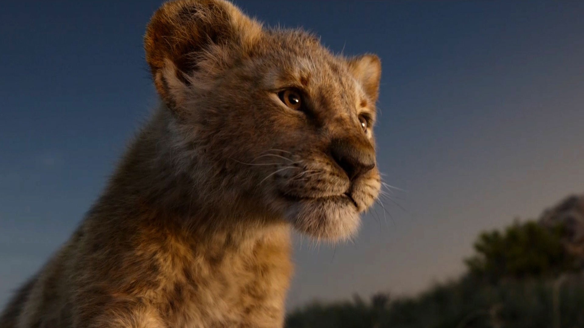 #Der neue Trailer zu Disneys Der König der Löwen – Neben Simba sind endlich auch Timon und Pumbaa dabei