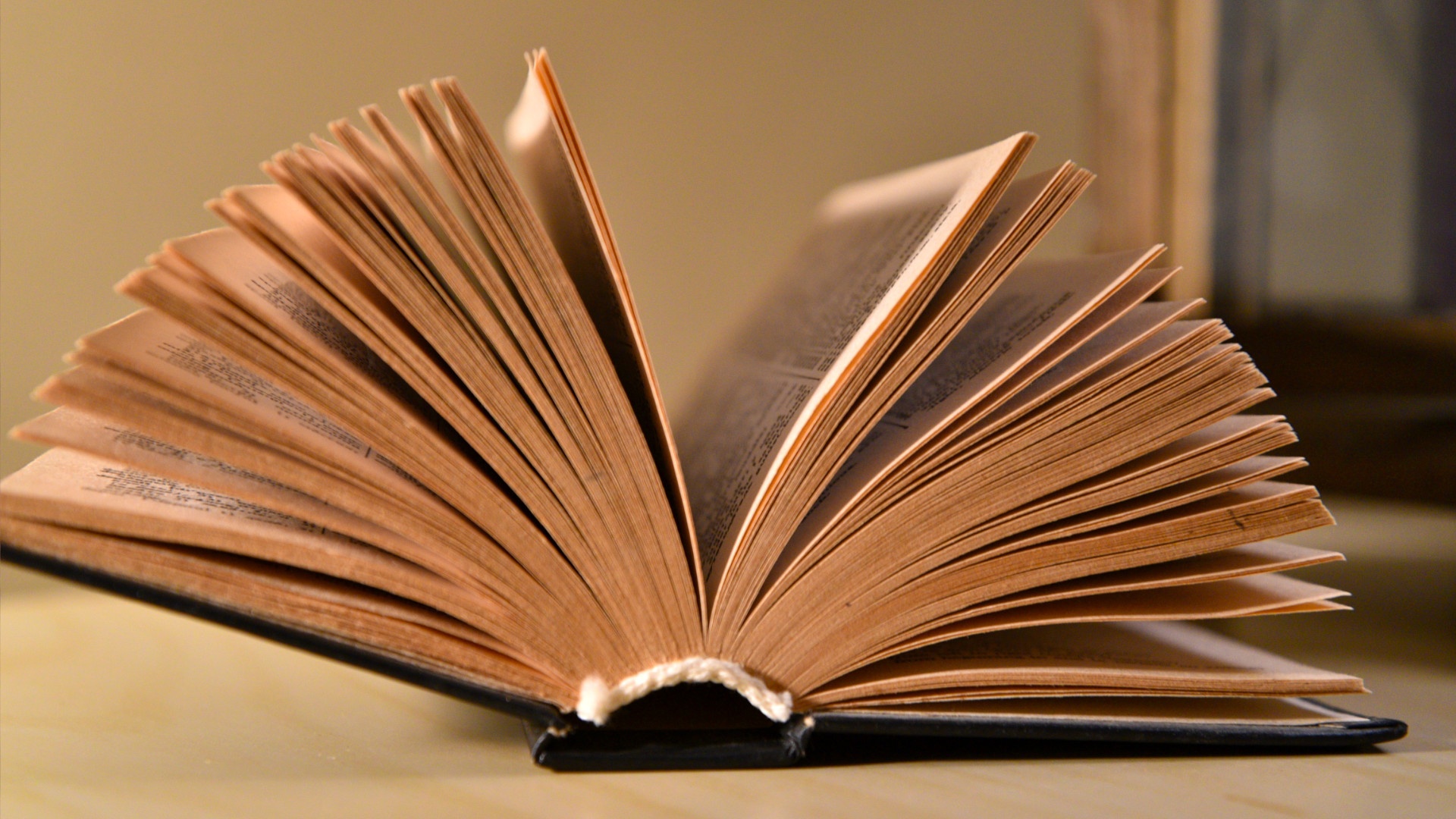 News: Eingemauert im Kamin - Bibliotheks-Buch wird nach 150 Jahren zurückgegeben – die Säumnisgebühr ist fünfstellig
