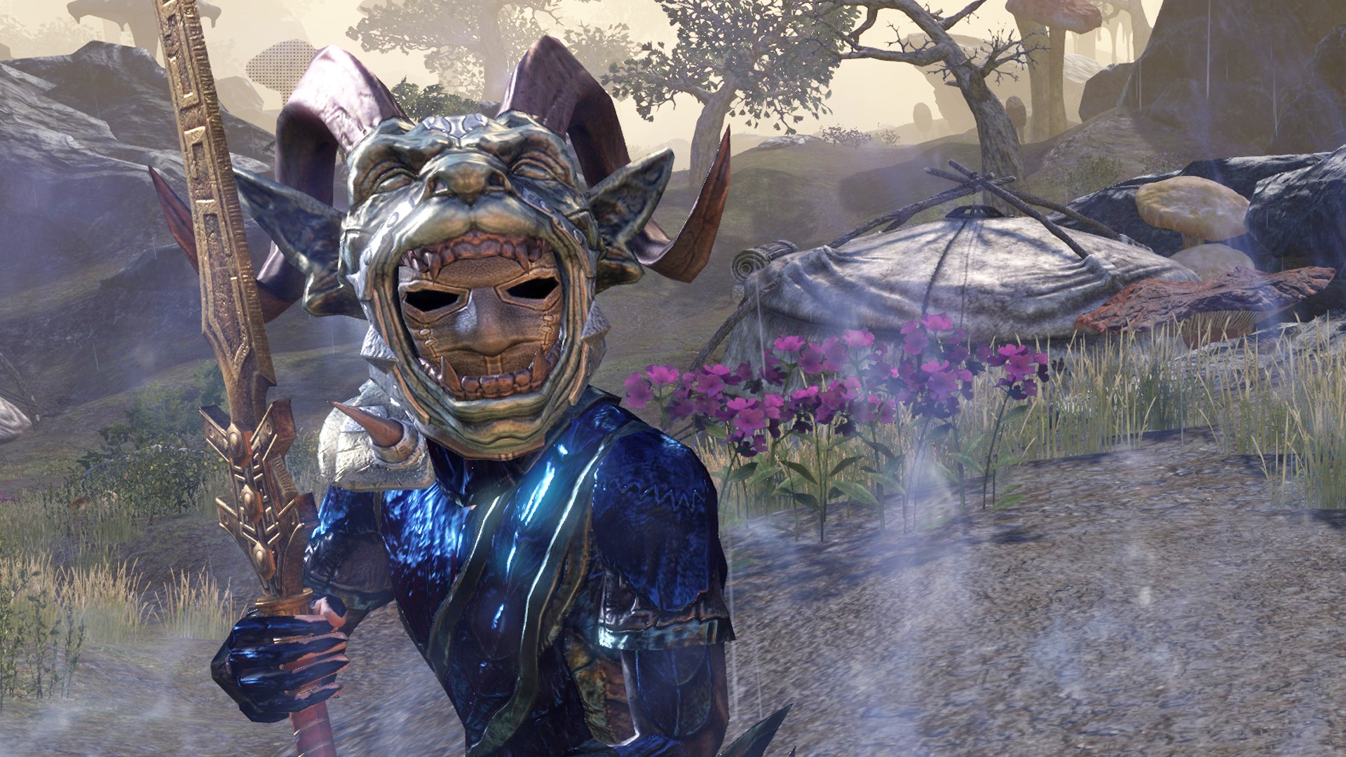 ESO Blackwood Hüter Guide Tipps für einen schlagfertigen Solisten