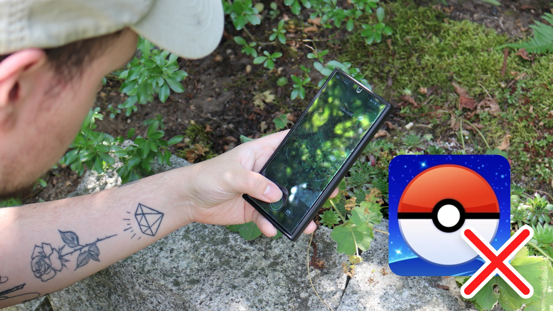 Apps - Statt Pokémon sammle ich jetzt Pflanzen und verwandle meine Spaziergänge in eine lustige Schatzsuche
