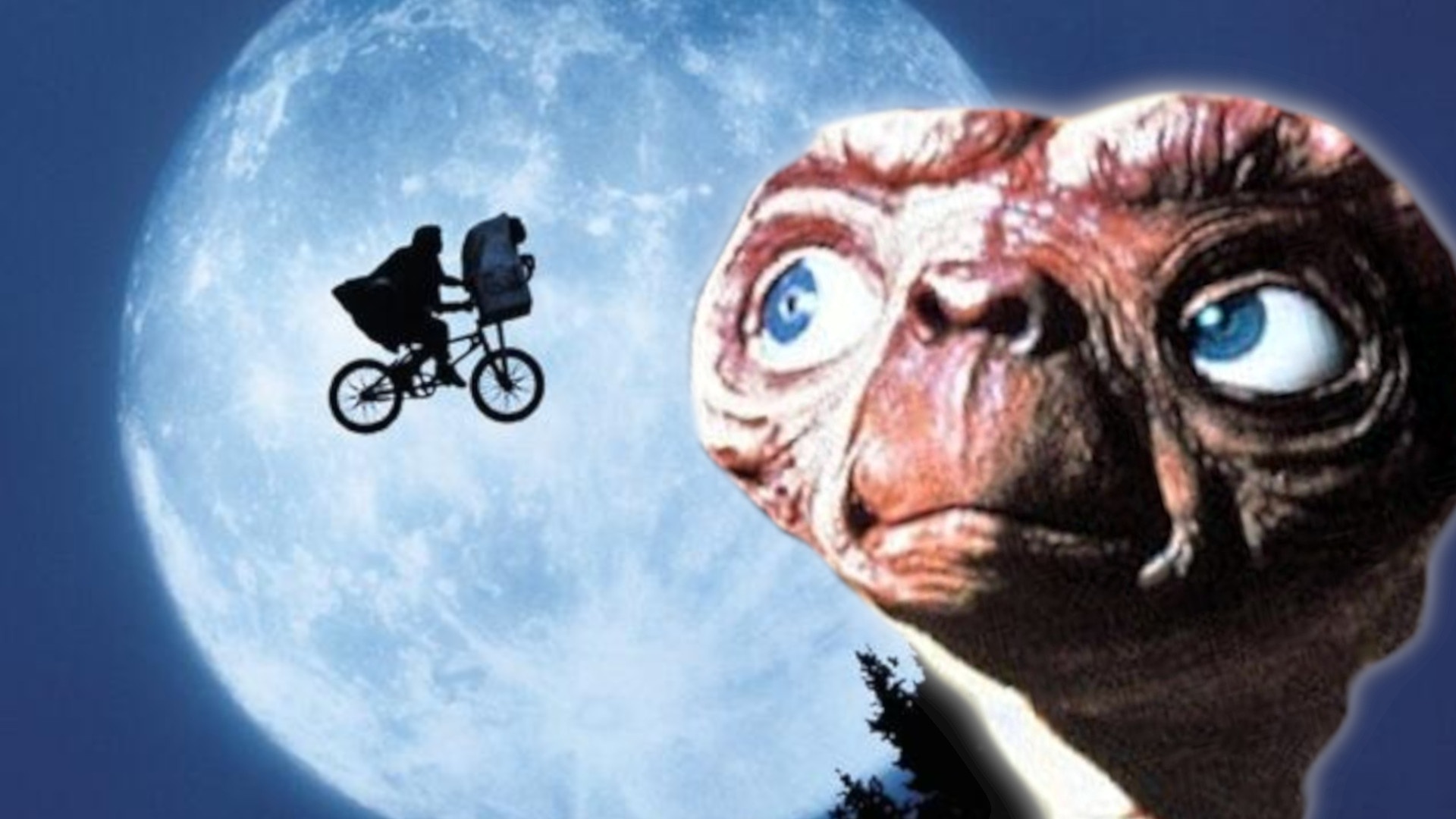 E.T.  - »Meine Geschichte«: Steven Spielberg hat sich gegen eine Fortsetzung des Sci-Fi-Klassikers gewehrt