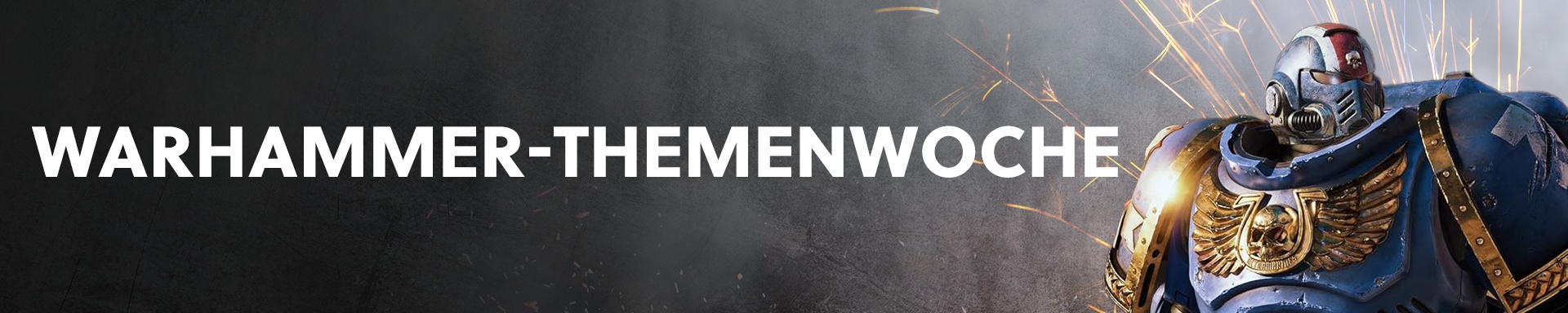 Banner Warhammer