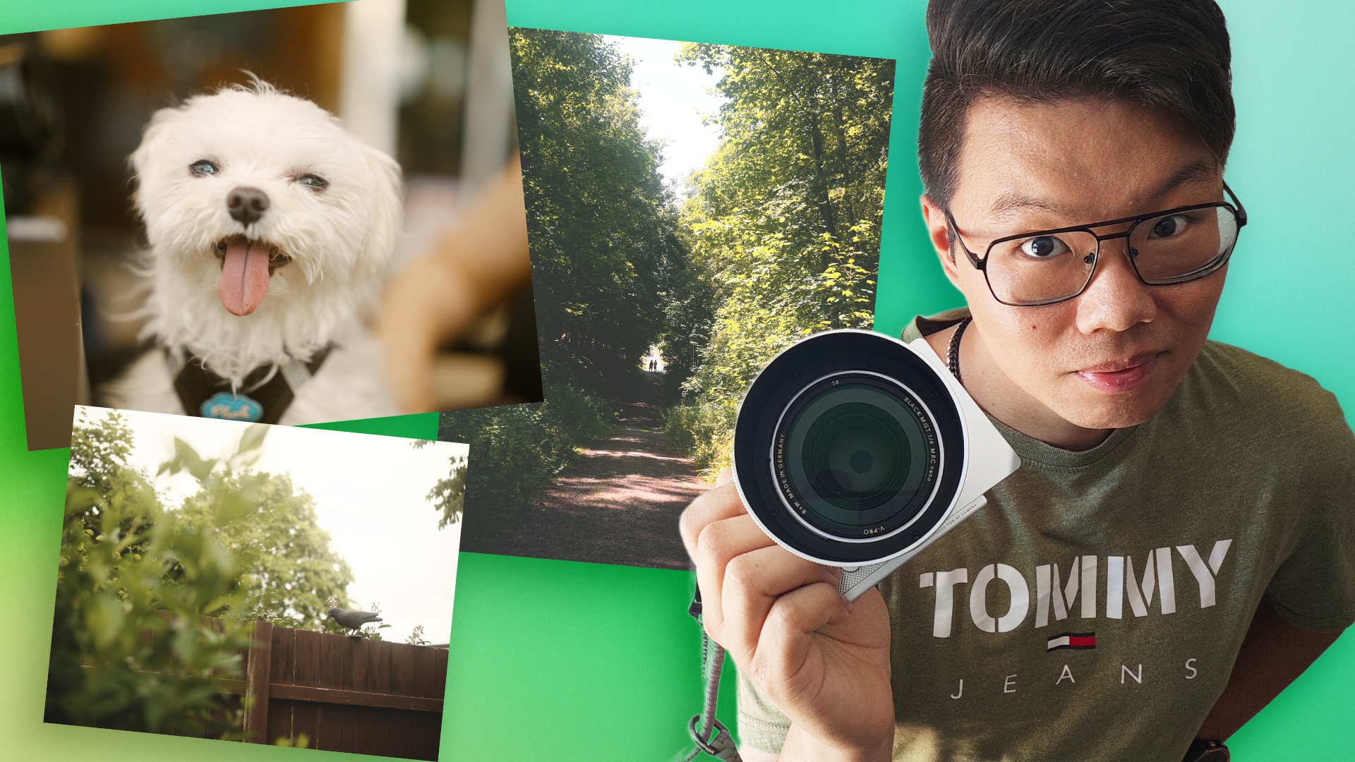 Fotografie - Der nächste Trend in der Fotografie sind Filter, die meine Bildqualität verschlechtern – ich habe es ausprobiert und bin überzeugt