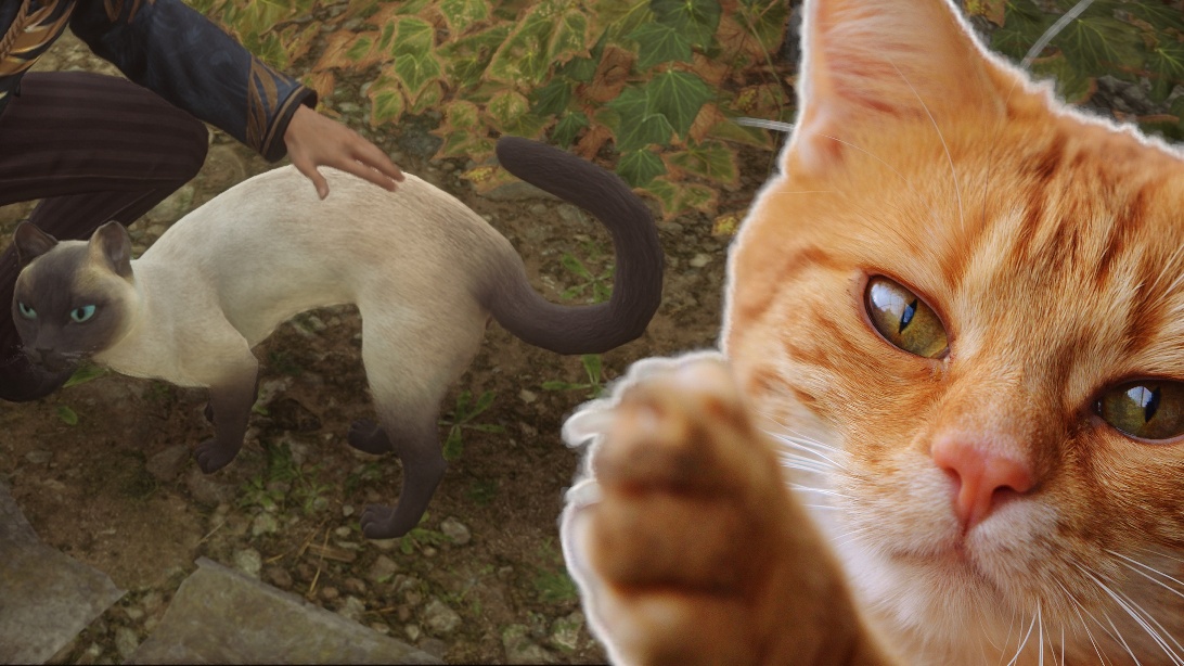 #Entwickler warnen: In den harmlosen Katzen von Hogwarts Legacy steckt tödliches Potenzial