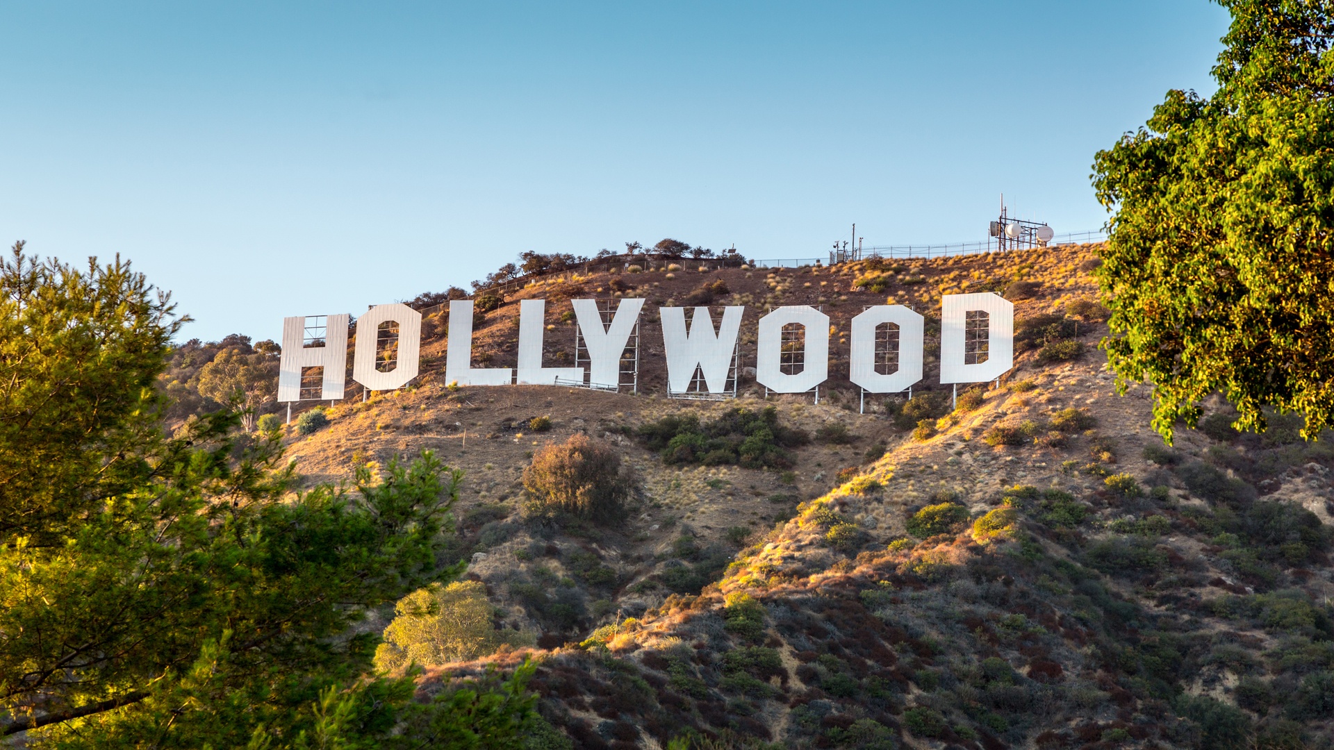 »Piraterie bleibt Piraterie«: Hollywood-Riesen verklagen KI-Firma und die soll sogar noch einen oben draufsetzen