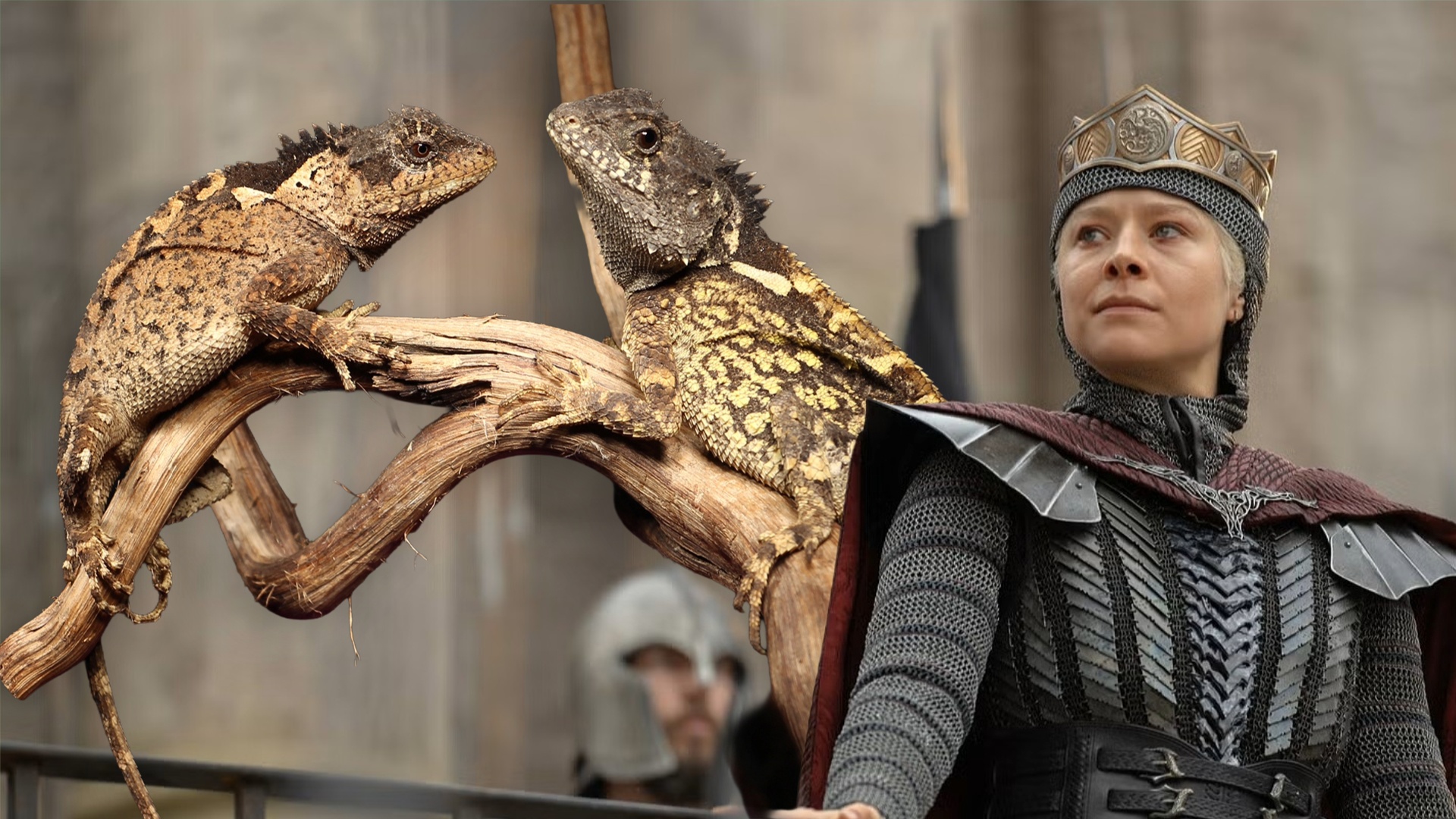 News: Acanthosaura syrax - Forscher entdecken neue Echse, jetzt trägt sie den Namen eines Drachen aus House of the Dragon