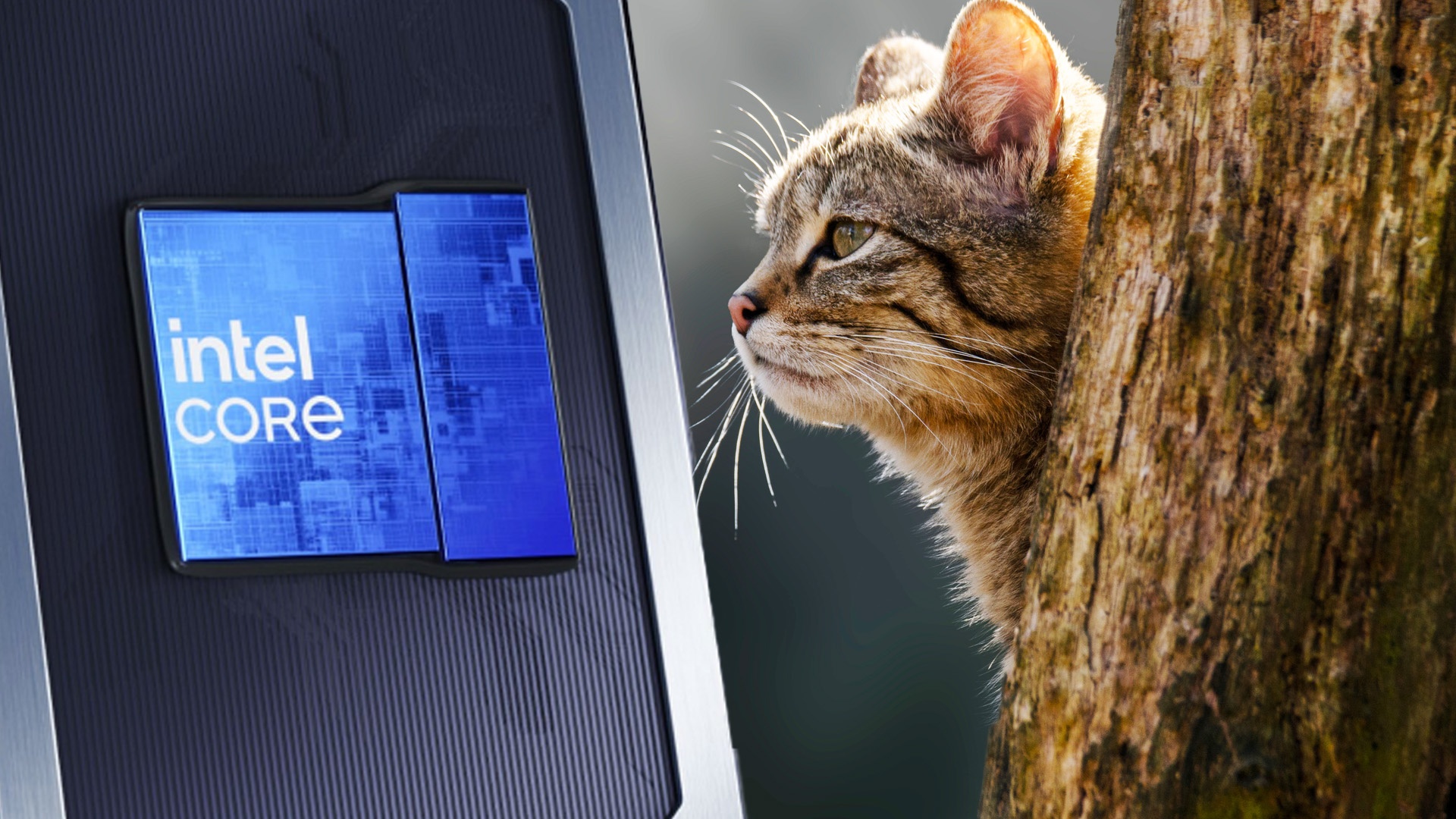 Special: Laptop - Intel lässt die Wildkatze raus: Ob die neuen CPUs der Schlüssel für leistungsstarke Budget-Notebooks sind, hängt von einer Sache ab