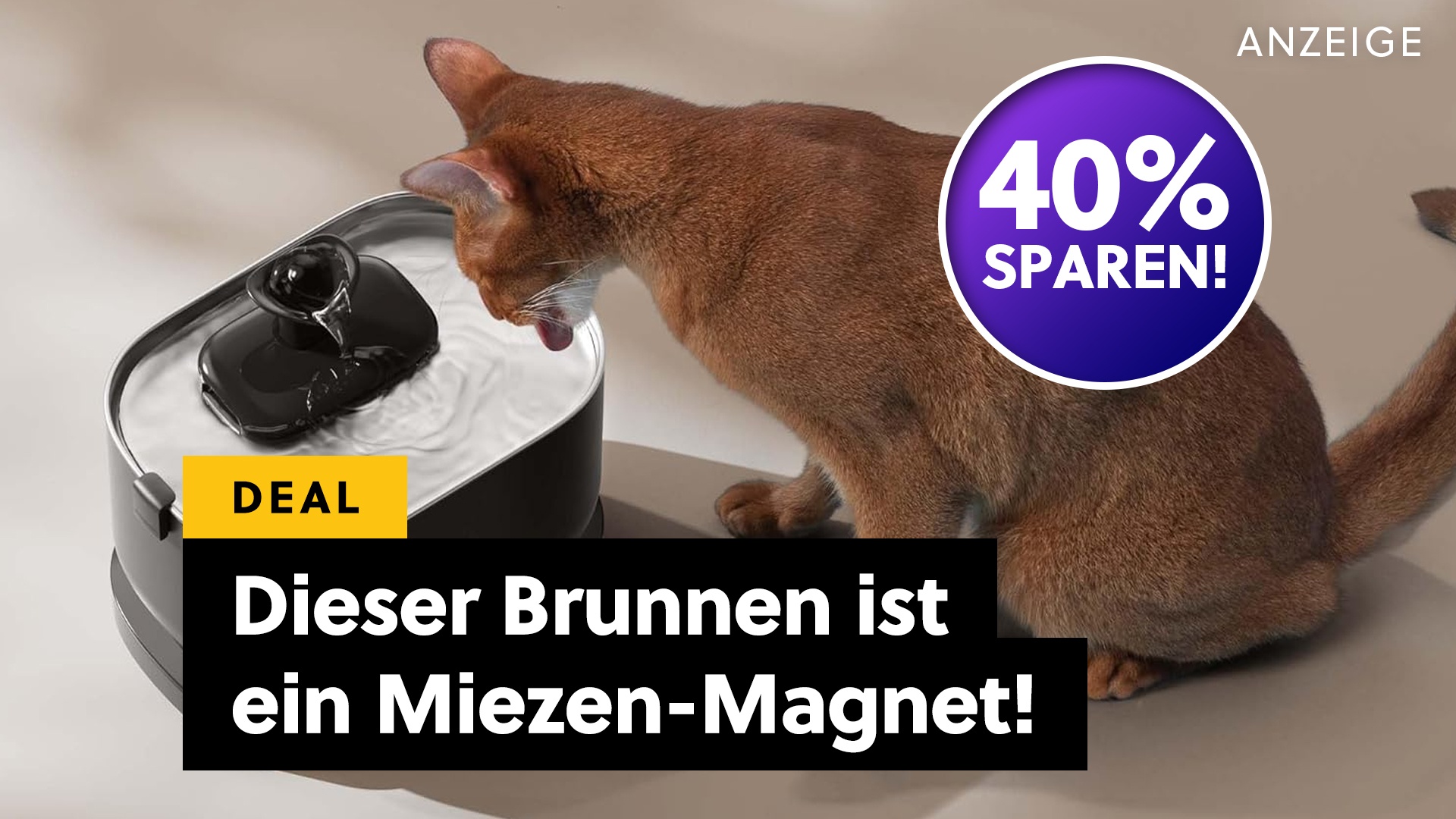 Deals: Wasser wie aus der Quelle - Dieser smarte Katzenbrunnen ist jetzt flauschig reduziert! [Anzeige]