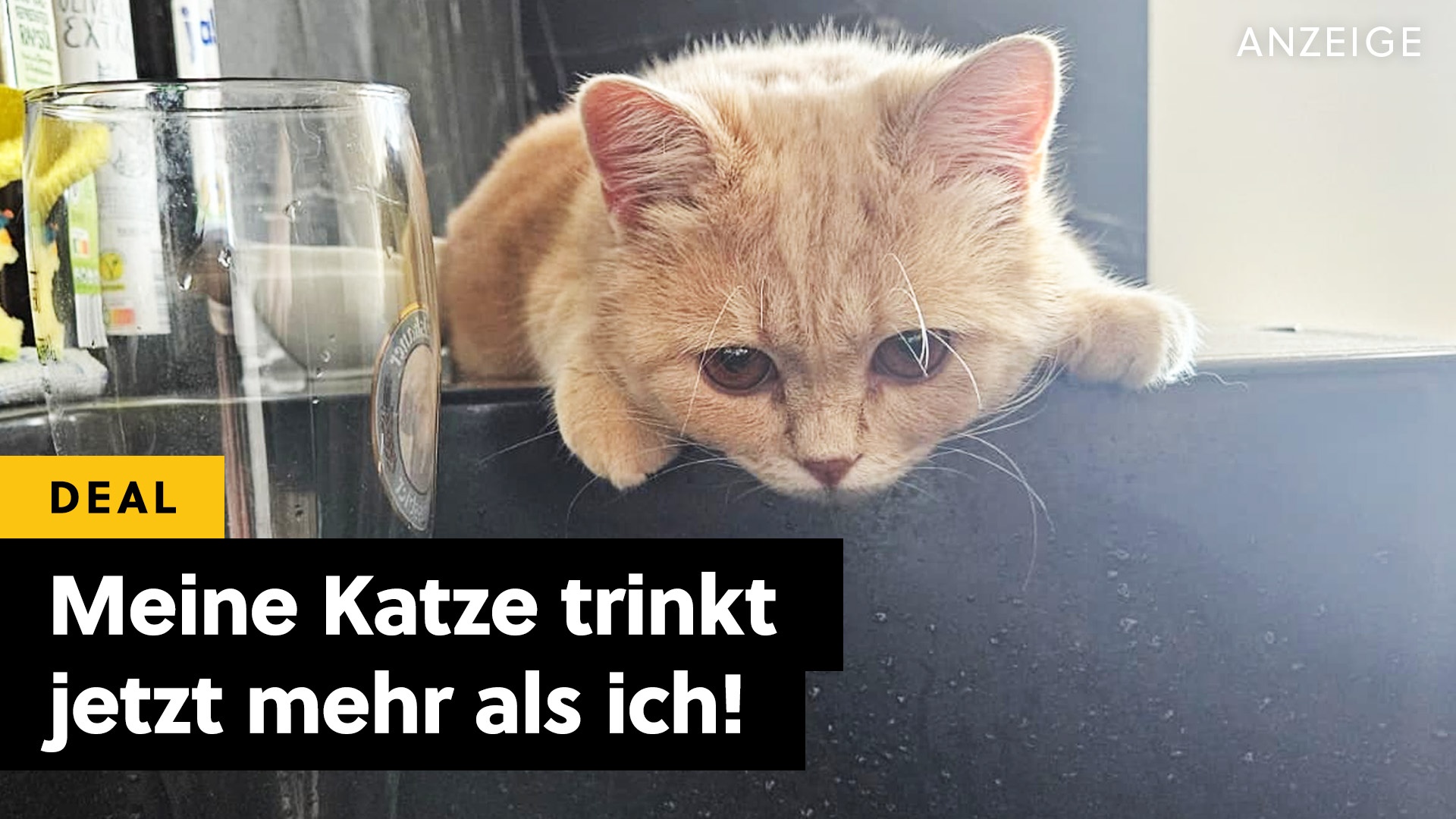 Deals: Katze - Dieses Gadget lässt meine Katze endlich trinken! [Anzeige]