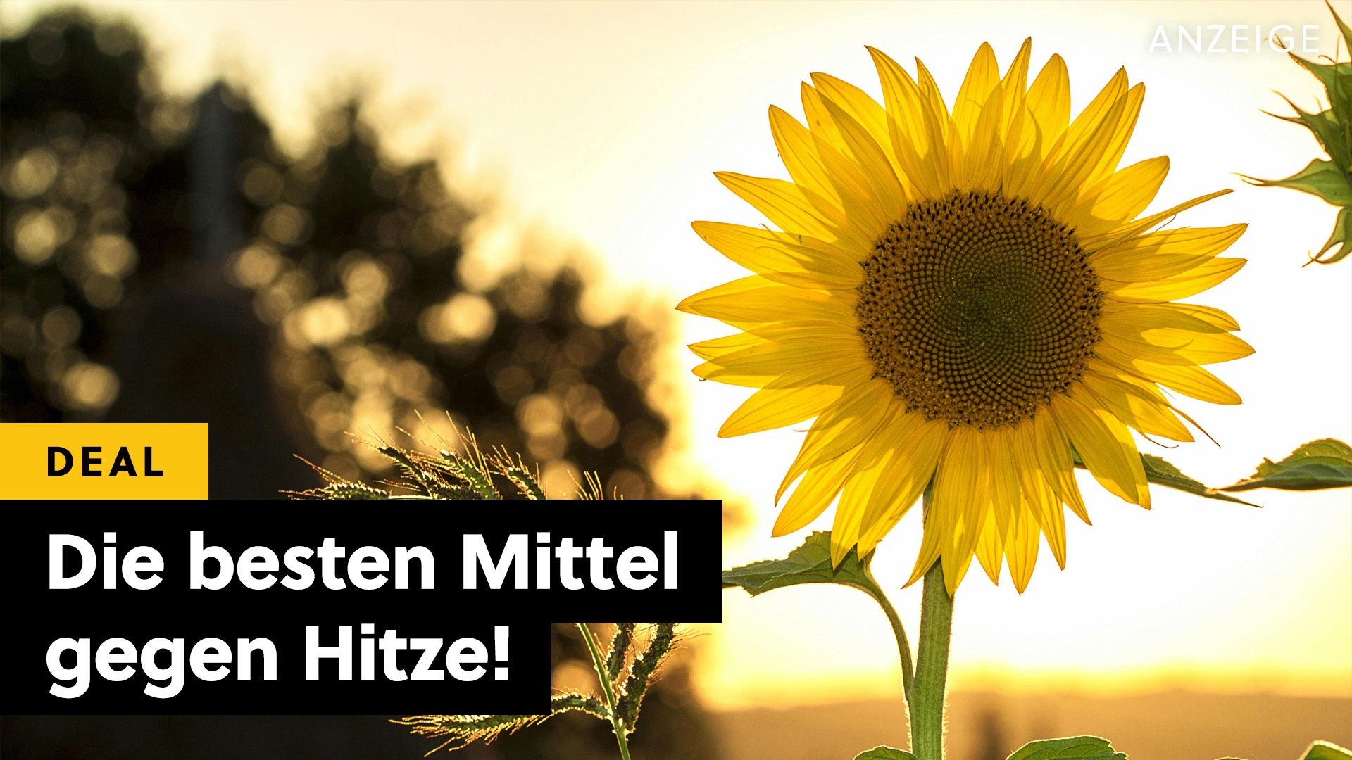 Keine Klimaanlage, kein Hitzekoller: Diese umweltschonenden Alternativen sind gerade bei Amazon im Angebot!