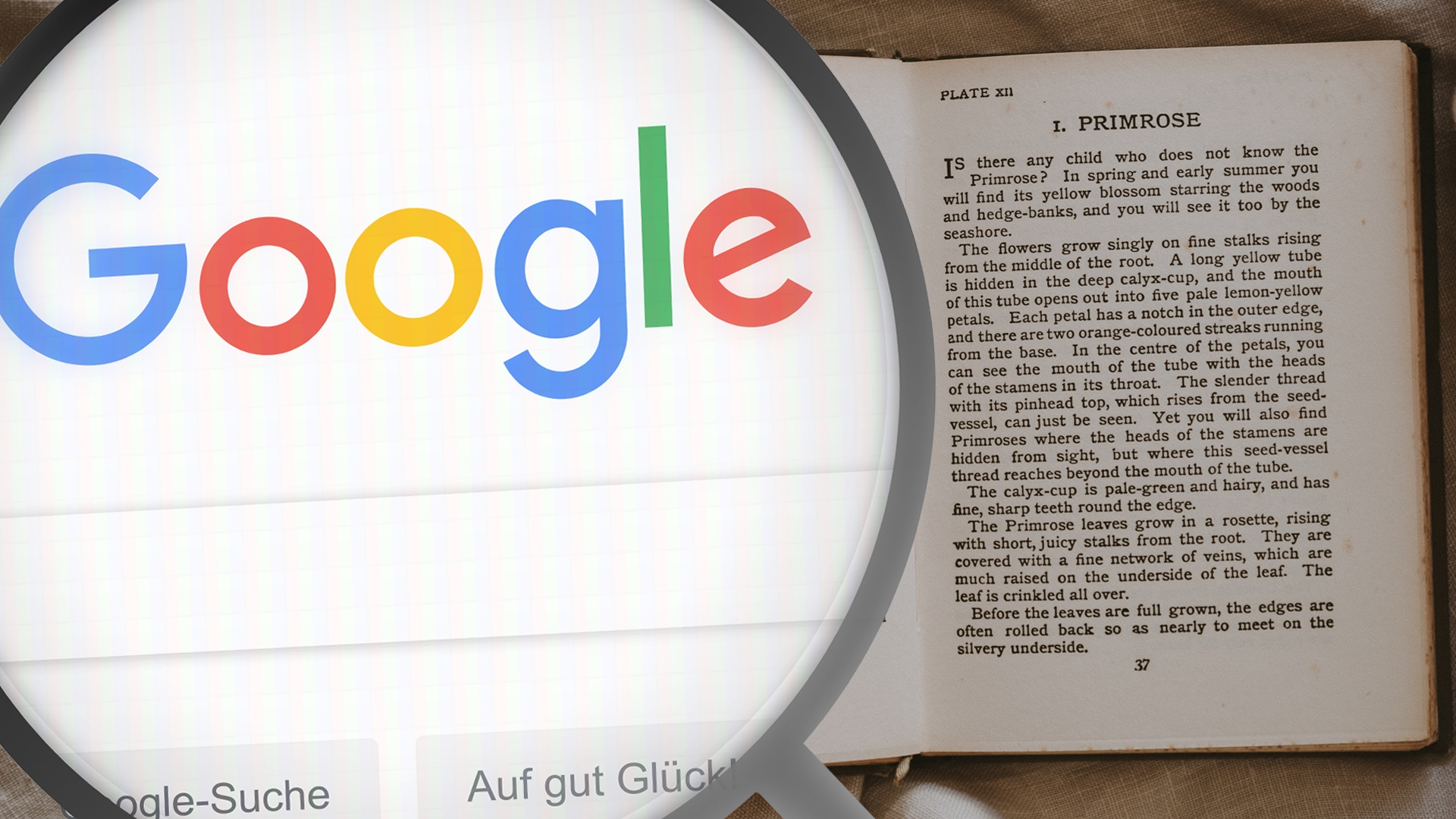 #Lesen, was Google nicht sehen kann: Diese Schriftart stellt Künstliche Intelligenz infrage